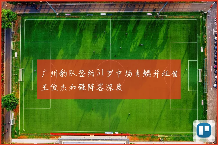 广州豹队签约31岁中场肖鲲并租借王俊杰加强阵容深度