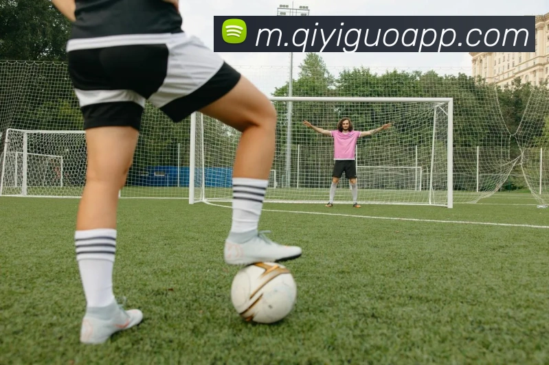 App Interface Preview